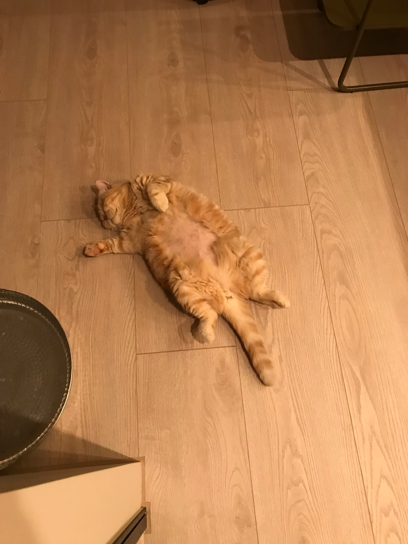 湖二-Wen Chen Lee1